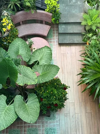 Vania House HoChiMinh – Fotos 16